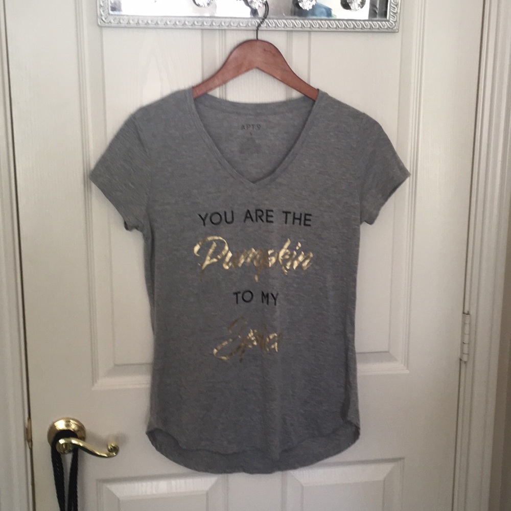 You are the pumpkin to my spice t shirt